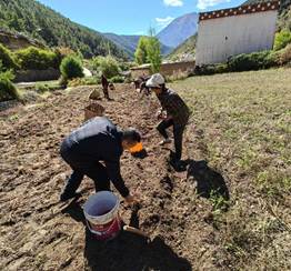 df1e6bb4ab17aed2c334ebac270fdd9